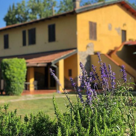 סאסטה Agriturismo Santa Lorica מראה חיצוני תמונה