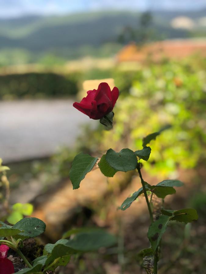 סאסטה Agriturismo Santa Lorica מראה חיצוני תמונה